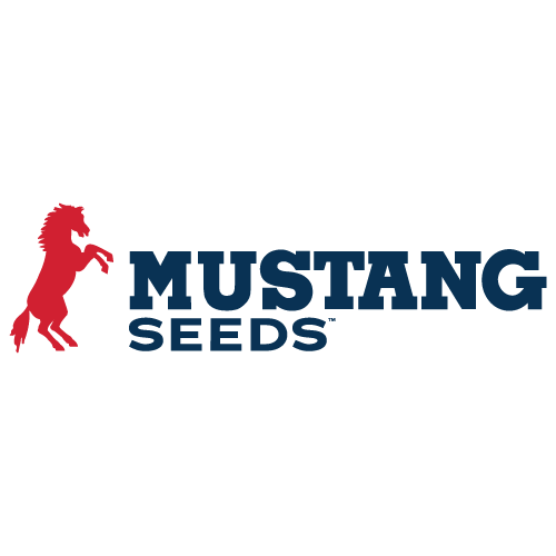 Mustang Color Logo