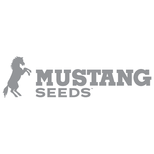 Mustang Grey Logo