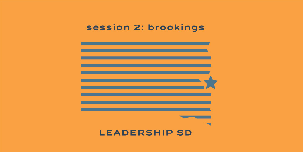 LSDSession2_Brookings